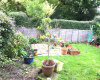 Woodlands, St Mary, Berkshire, 2 Rooms Rooms,1 BathroomBathrooms,House,For Rent,Woodlands,1087